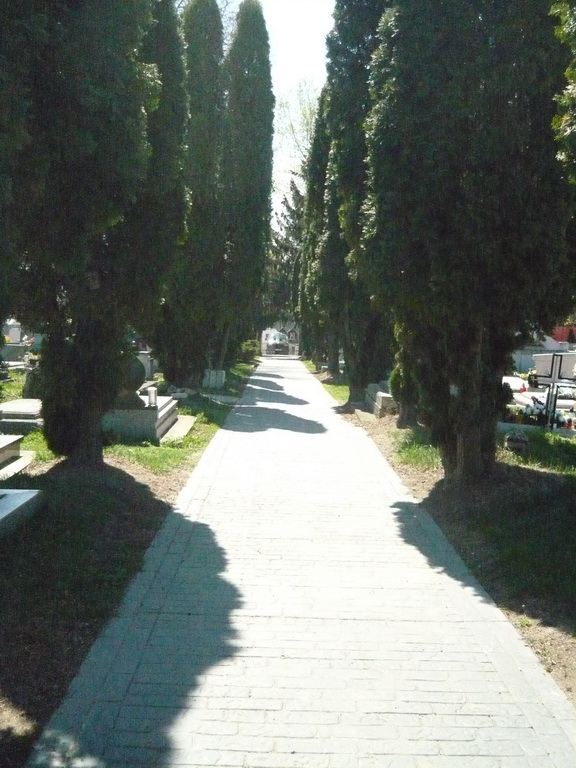 Cintorín Matejovce foto